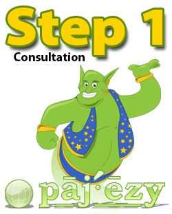 Website Consultation
