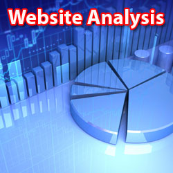 Website Analysis