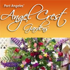 Port Angeles Fresh Flowers Sequim Fresh Cut Flowers