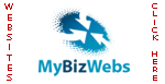 Small Business Website Design